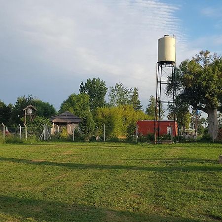 Terrabox Apart De Contenedores Olivera Room photo